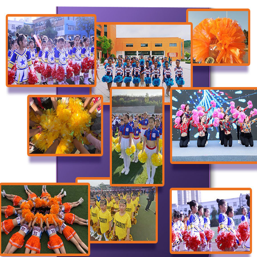 1ชิ้นเชียร์ลีดเดอร์สัตว์เลี้ยง - Cheerleading Pom Pom บทวิจารณ์และราคา
