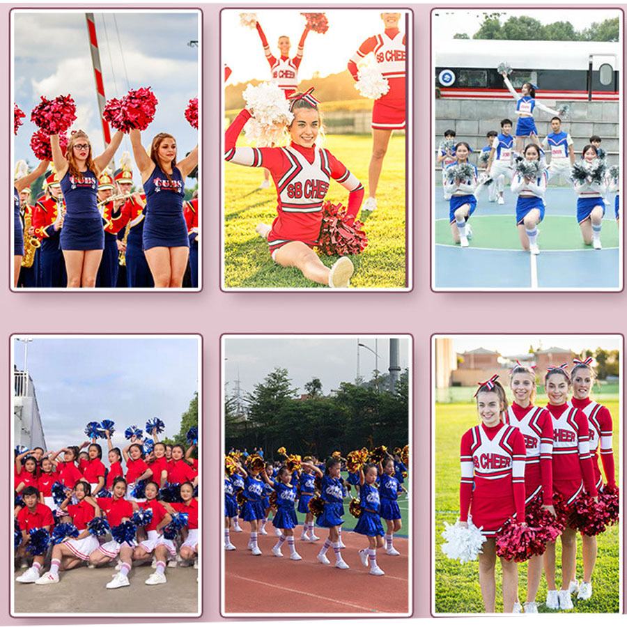 1ชิ้นเชียร์ลีดเดอร์สัตว์เลี้ยง - Cheerleading Pom Pom บทวิจารณ์และราคา